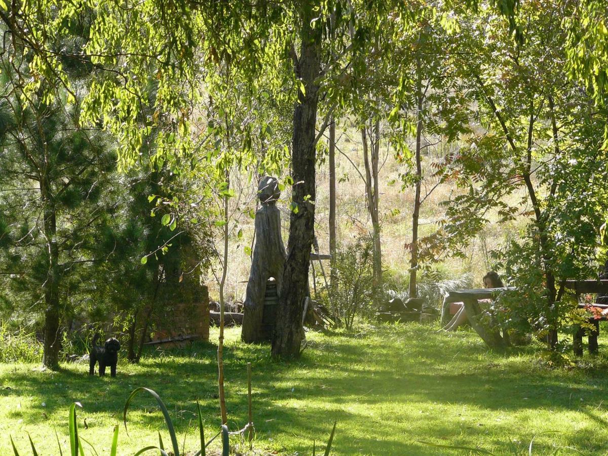 Wildwood Guesthouse Mudgee Ngoại thất bức ảnh