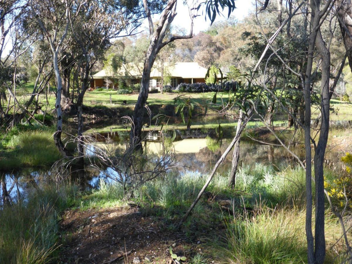 Wildwood Guesthouse Mudgee Ngoại thất bức ảnh