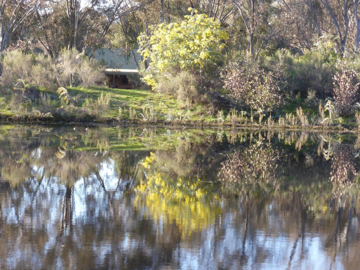 Wildwood Guesthouse Mudgee Ngoại thất bức ảnh