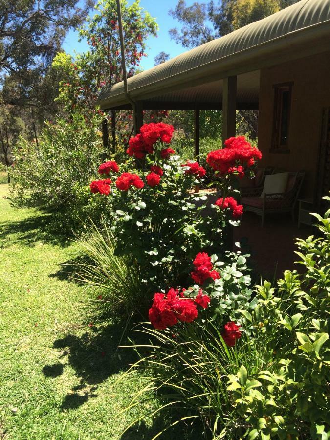 Wildwood Guesthouse Mudgee Ngoại thất bức ảnh