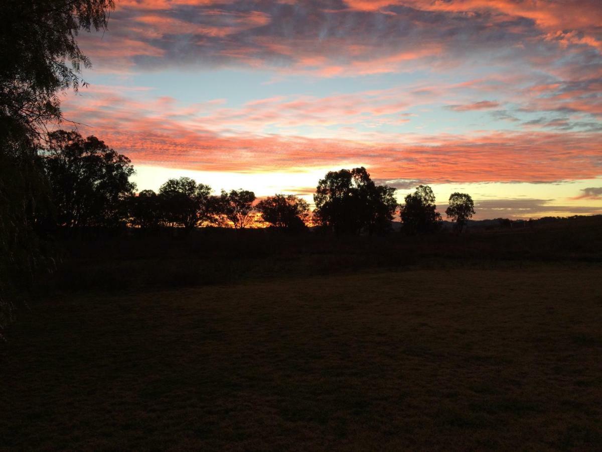 Wildwood Guesthouse Mudgee Ngoại thất bức ảnh